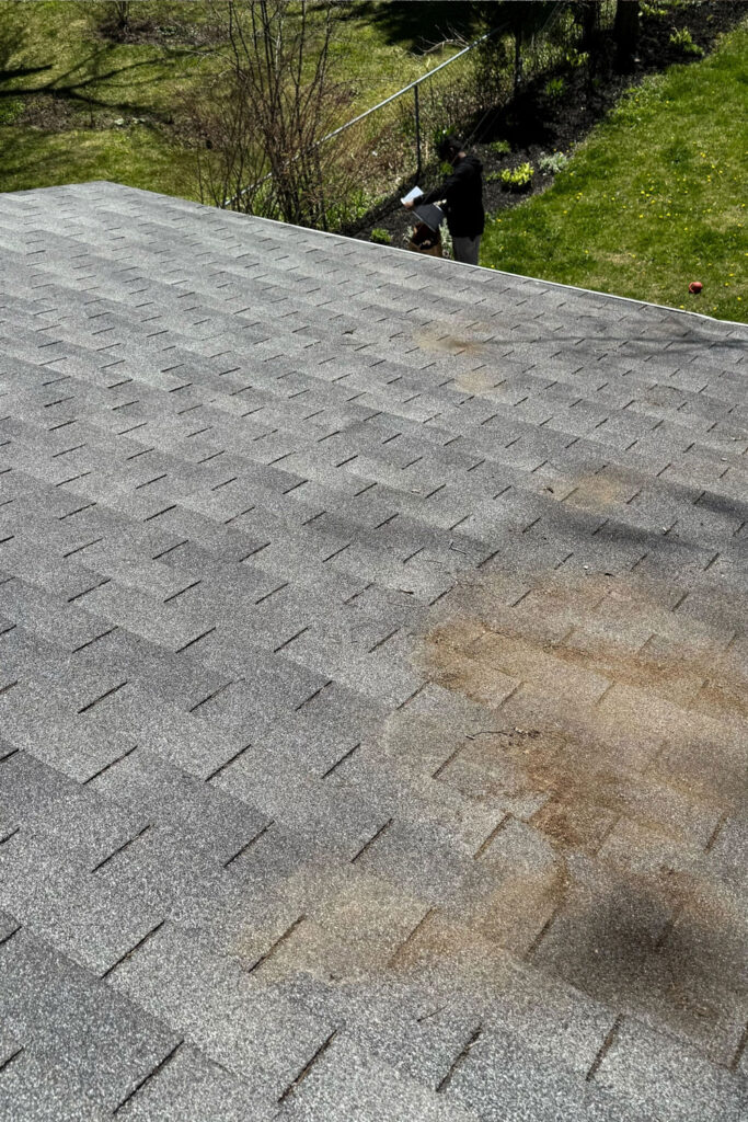 Roof Cleaning & Moss Removal Simcoe County - Simcoe Home Solutions Roof Cleaning & Moss Removal Simcoe County - Simcoe Home Solutions