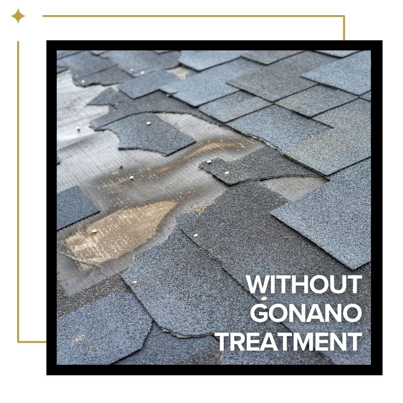GoNano Roof Saver - Simcoe Home Solutions